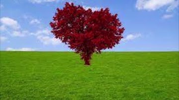 سورة الرحمن قراءة مغربية جميلة المقرئ عبد الرحمان بن موسى رحمه الله