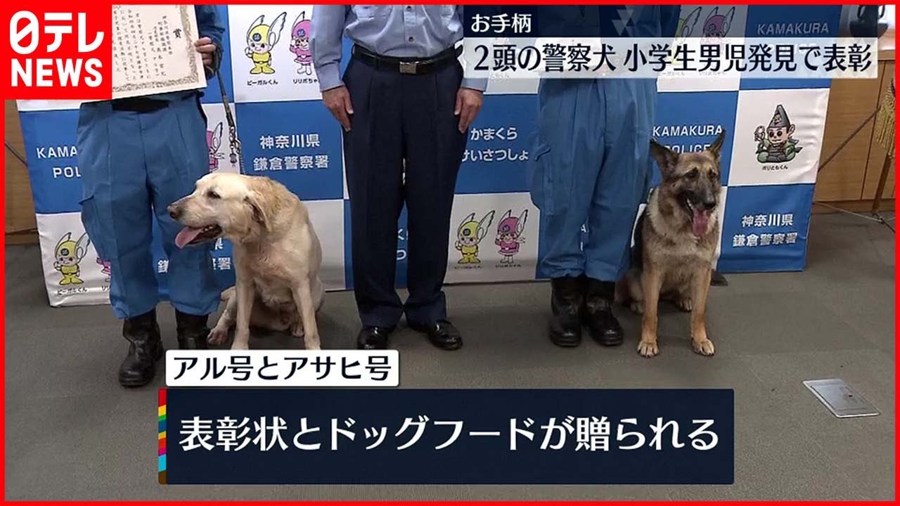 お手柄警察犬 行方不明男児わずか1時間で発見 警察犬2頭を表彰 Youtube