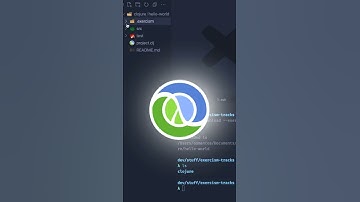 Los 5 Lenguajes de programación más queridos