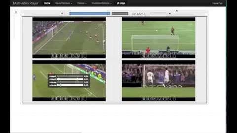 Lightweight Multi-video Player (LMVP)