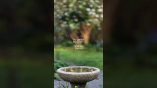 The garden is a poem without words #gardening #nature