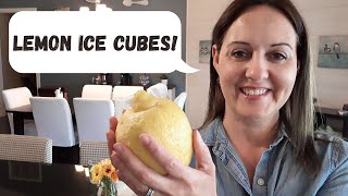 Freezing Lemon Juice In Ice Cube Trays