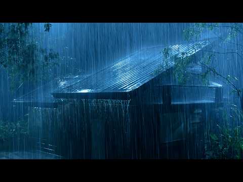(No Ads) Heavy Rainstorm Sleep ⛈️ Tin Roof Thunder & Storm Wind for Deep Relaxation