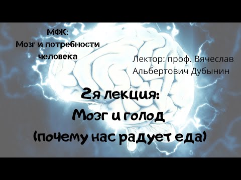 2я лекция Мозг и голод почему нас радует еда  Вячеслав Дубынин