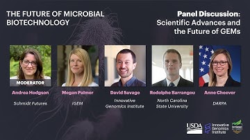 Panel - Scientific Advances and the Future of GEMs