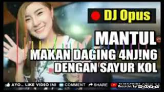 Dj opus mantul