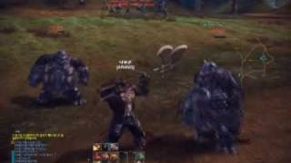 Tera Online raid03