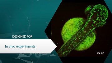 FEMTOSmart - Superior imaging