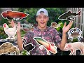 ALL My ANIMALS in ONE VIDEO!!