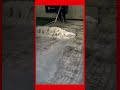 Squeegeeing foam off a clean carpet. #carpetcleaning #satisfying