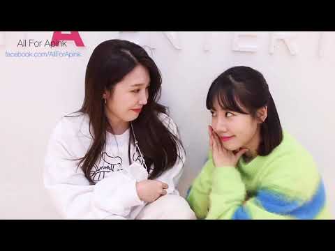 [Vietsub] Apink Mini Diary - Hậu trường quay VCR 'Pink of the year'