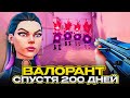 я не играл 200 дней в Валорант и вот что со мной стало!