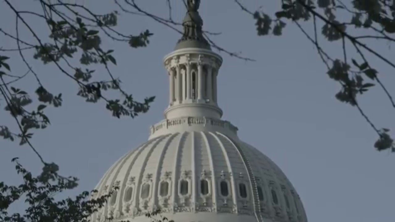 Do We Need More Gun Control for Muslims?