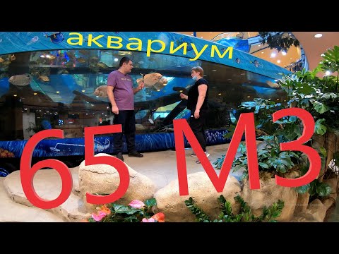 Video: Hvordan Behandle Ichtytytyroidisme I Et Akvarium