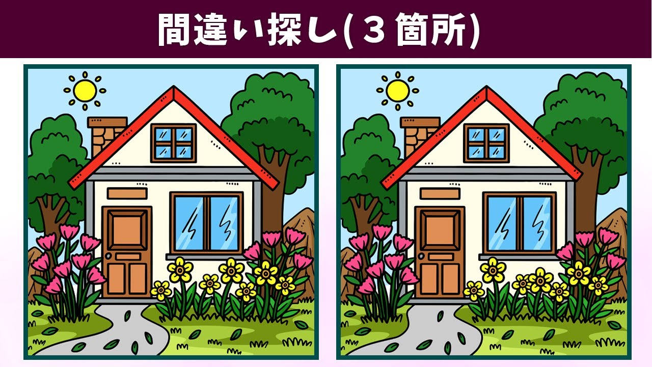 Найдите 3 отличия | Иллюстрация Версия #1104