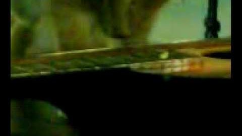 cat playes johnny cash guitar solo