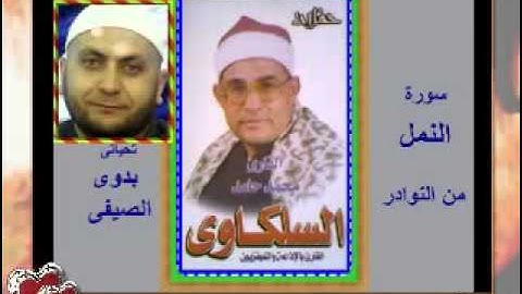 الشيخ محمد السلكاوى سورة النمل من النوادر