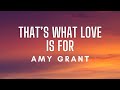 Amy Grant - That