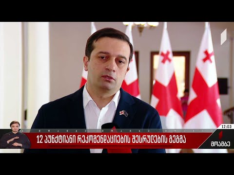 12-პუნქტიანი რეკომენდაციების შესრულების გეგმა