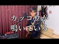 カッコウが鳴いている【ギター弾き語り】こげチャド