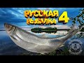 Стрим   / Турнир ✅Русская Водка и Черноморская Селедка) Русская Рыбалка 4 топ игра   Русский Медведь