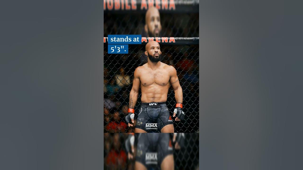 3 Of The Shortest UFC Fighters YouTube 3-of-the-shortest-ufc-fighters-youtube