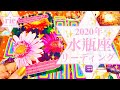 ♒️水瓶座♒️2020年年間リーディング♒️🏺✨
