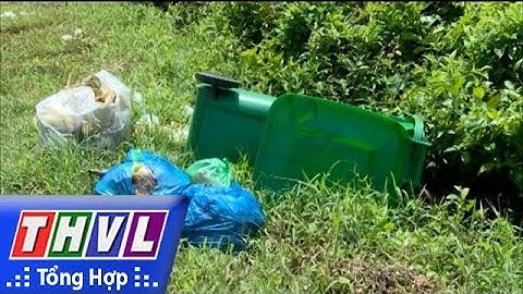 THVL | Nhiều thùng rác bị lật đổ rất phản cảm
