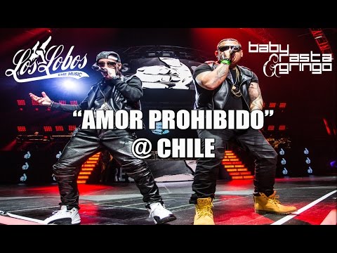 Baby Rasta y Gringo – Amor Prohibido – Chile 2014 mp3 ke stažení