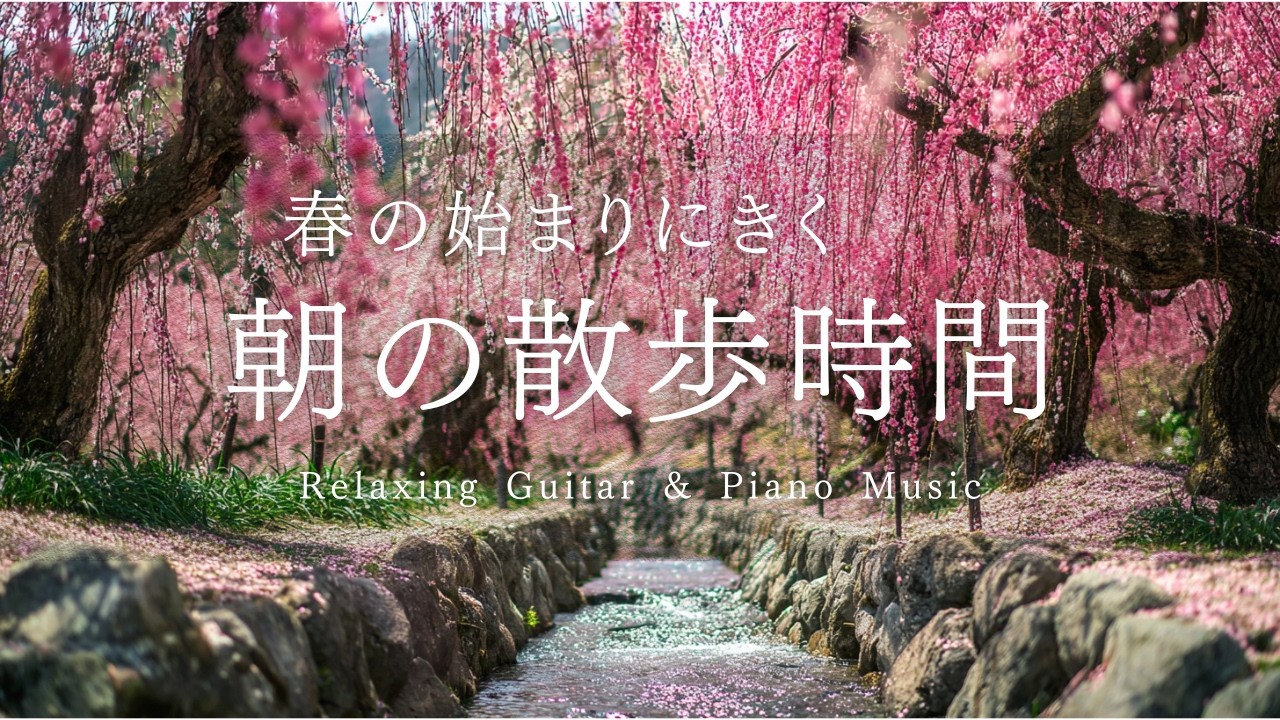 【癒しの作業用BGM】いなべ梅林公園、朝の散歩。梅の香と凪のリズム。春を待つ和の情景。Inabe Plum Grove: Morning Walk.