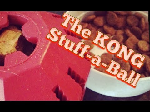 kong stuff a ball