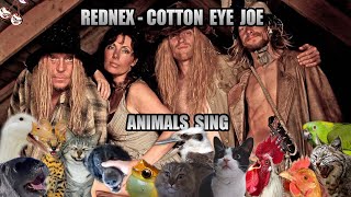 Rednex  Cotton Eye Joe (Animal Cover)