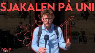 Download Lagu SJAKALEN PÅ UNI! SNAKKER MED NØRDER MP3