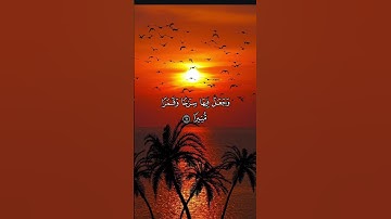 #القارئ عمر الهاشمي