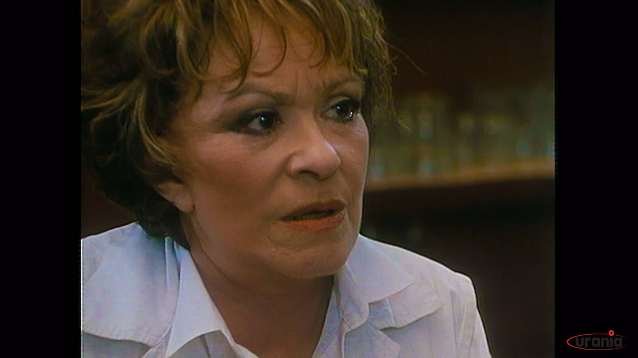 🐈 Jedna kočka za druhou