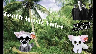 Teeth Beanie Boo Music Video / 5 Seconds Of Summer