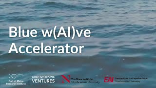 Blue wAIve Accelerator Program: Helping Blue Tech Innovators Leverage AI for Ocean-based Solutions