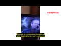 Recensione del TimVision Box Technicolor Jade Decoder TIM Android TV 10 Con Digitale Terrestre Integ