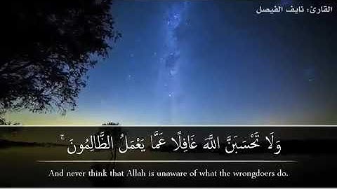 القارئ الشيخ نايف الفيصل/حالات واتس اب قرآن كريم