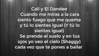 Cali Y El Dandee - Lumbra ft. Shaggy LETRA