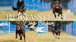 Bluegrass Classic Dog Show 2022 - AKC FastCAT & Lure Coursing Vlog