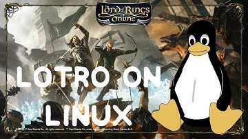 LotRO on Linux: DX11 and in-game store working!