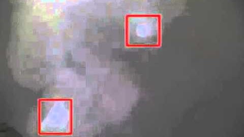 Jellyfish shredding robot tested to control swarms