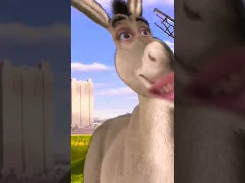 يا حمار يا وحشي بس عطشان