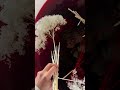 SECRETS Of Preserved Flowers: Amazing Deep Red Dyeing 🌹