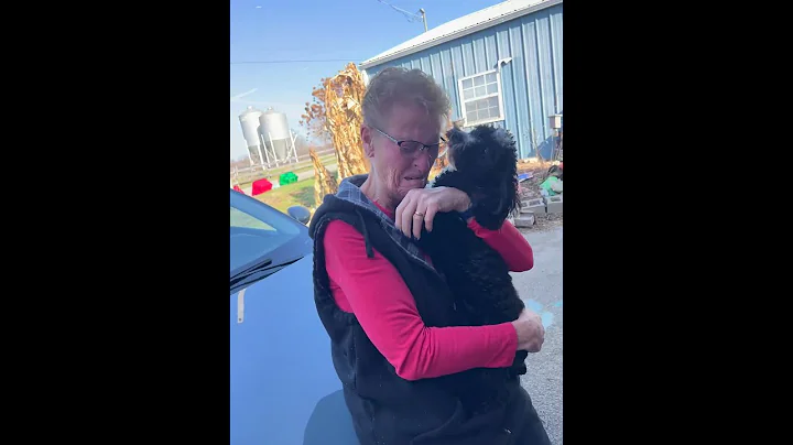 Owner Reunites With Dog for Christmas || ViralHog