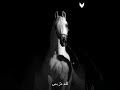 عنترة بن شداد لا يحمل الحقد من تعلو به الرتب احمد النفيسي عنترة بن شداد لا يحمل الحقد من تعلو به الرتب احمد النفيسي