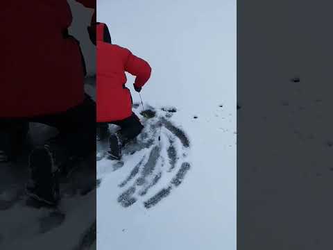 Щука 10кг
