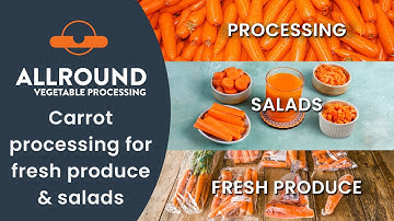 Carrot processing for fresh produce & salads | Allround Vegetable Processing