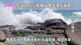 2021北海岸白沙灣麟山鼻海濱步道健行百合花現況風陵石海岸 ... 